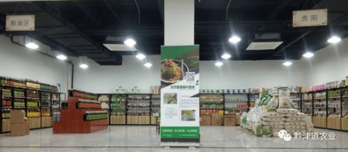 貴州戶戶達(dá) 以農(nóng)產(chǎn)品展示體驗中心為橋，守護(hù)家鄉(xiāng)風(fēng)味，服務(wù)會務(wù)展覽